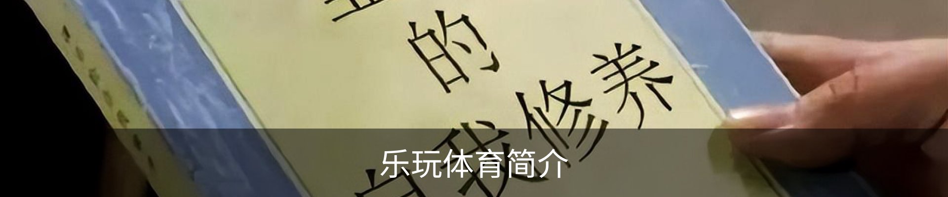 乐玩体育简介